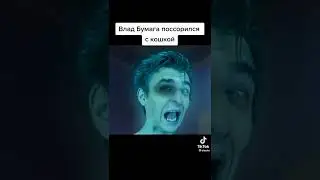 вот это кот