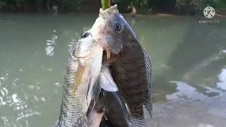 chamba uli marami kaming huli. #anakpawis By Clarence Glee