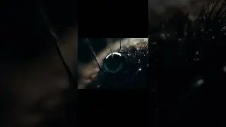 Closeup Views Of Creepy Crawlers: Spiders Up Close