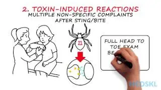 Emergency Medicine – Insect Stings and Bites: By Dersim Kaya M.D. & Abbas Husain M.D.