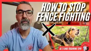How to Stop Your Dog from Fence Fighting | Al’s Dog Training Tips