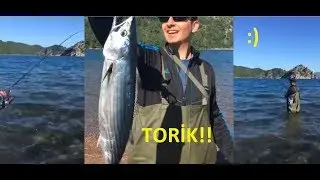 Marmaris At-çek Balık Avı Torik