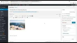 January 19, 2018(13) wordpress website development tutorial