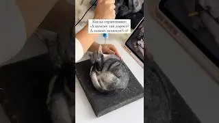 Так и буду теперь отвечать на вопрос «А ЧО ТАК ДОРОГО?» 😂 