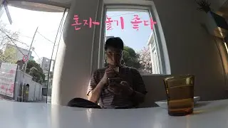 혼자 가기 좋은 곳들 모아모아, 맛집커피쇼핑 한바퀴🛞