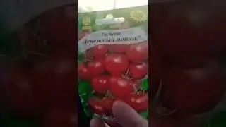 Томат🍅 Денежный мешок 🍅🍅👍