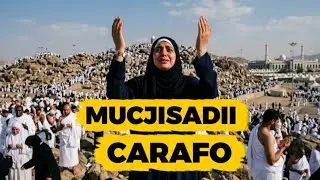 Waxay Ku Ooyday Buurta Carafo… Kadibna Mucjiso Ayey la kulantay! 😭 Naftayda Ayaa Beddelantay!