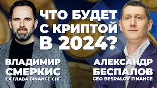 💸 Будущее криптовалюты в России \ Чем заменить Binance ? \ Владимир Смеркис 