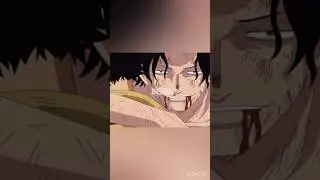 Ace deserved to be born… 