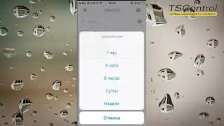 Wialon в телефоне