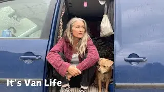 VanLife Q&A | Why I Chose This Life, How I Fund It & Meet Pudding! (Mini Van Tour Included)