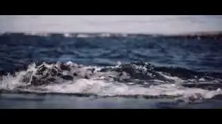 Chebaleba - Pitää mennä