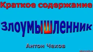 Краткое содержание Злоумышленник, Чехов