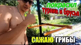 КРАШУ ТУРНИК И БРУСЬЯ / САЖАЮ ГРИБЫ!!!
