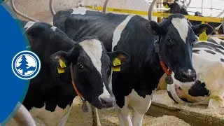 Dairy Science Associate Degree at NTC