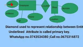 video shows interaction/relationships between Entities(database table).