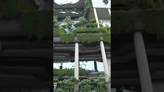 Один из самых прогрессивных городов мира 🌍