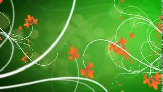 Футаж узор 12 Flourish -  animation