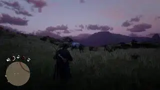 Red Dead Redemption 2 Часть 2