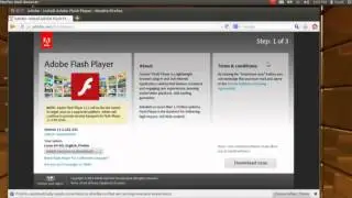P2.0 Ubuntu Beginners 9 Flash Player