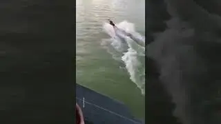 Task failed successfully
