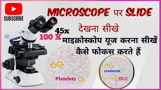 Microscope me slide kaise set karte hain | How to focus on microscope | blood slide under microscope