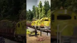 The rare RS-36’s bring out the railfans.