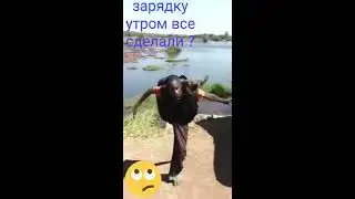миникомплекс