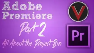 Adobe Premiere Series - The Project Bin - Part 2