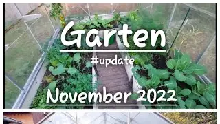 Gartenupdate | November 2022 | Herbst | Ronja ♡