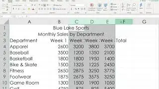 Excel Project 1 4 Part 1