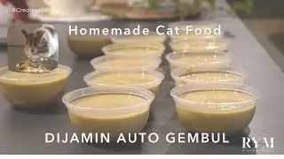 CARA MUDAH MEMBUAT MAKANAN KUCING DIRUMAH | EASY HOMEMADE CATFOOD