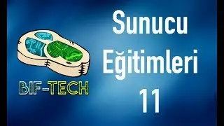 Sunucu Eğitimleri | Bölüm 11 | Apache Web Sunucusu - MySQL - PHP Kurulumu LAMP (Ubuntu 18.04 - Yeni)