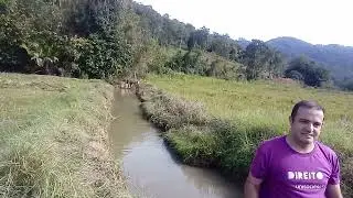 Pescaria de piava pro aquário