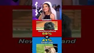 Would You Rather HARD EDITION !!