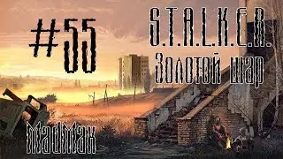 STALKER: Золотой шар. Завершение. Часть 55 - На волю!