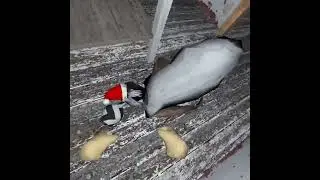 #хоррор