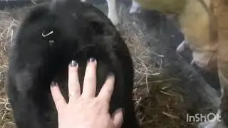 Новости по хозяйству 23.02.2024 года