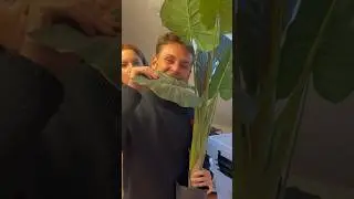Meine Freundin ist offiziell verrückt ?! 😳 