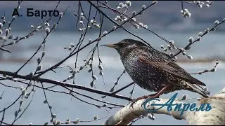 Апрель. Стихи для детей А. Барто