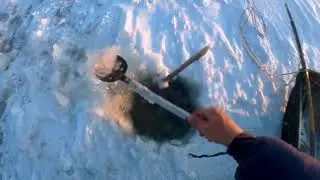 Checking hooks for burbot 10/29/2021