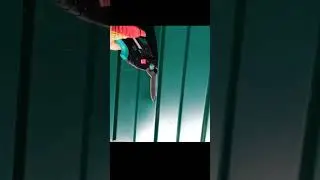 имбовые ножницы по металлу.