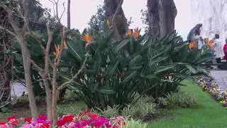 Capri :Giardino di Augusto con vista Faraglioni