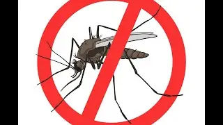 15kHz Mosquito Repellent | Anti Mosquito | 100% Working