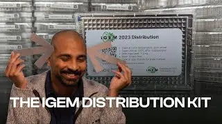 The iGEM Distribution Kit