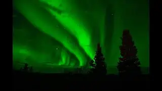 David Icke: Befreie dich von der großen Illusion