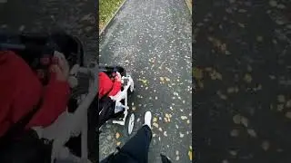 наступила осень🍁🍂🍃🍁