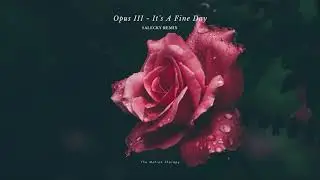 Opus III - It's A Fine Day (Salecky Remix) [Deep House] 