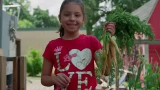 2019 Yolo Farm to Fork