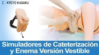 Simuladores de Cateterización y Enema Versión Vestible MW55/MW54/MW53 Kyoto Kagaku